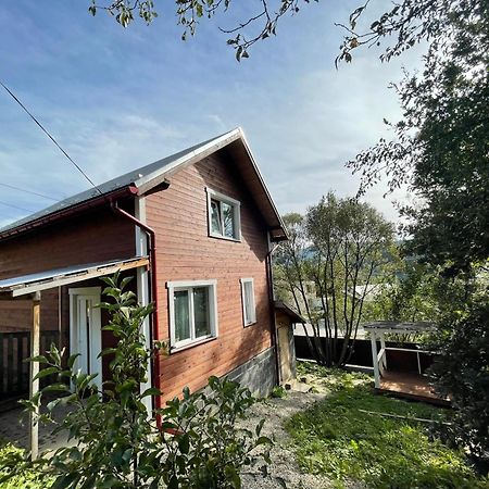 Карпатський Котедж Karpatian Cottage Vorokhta Εξωτερικό φωτογραφία