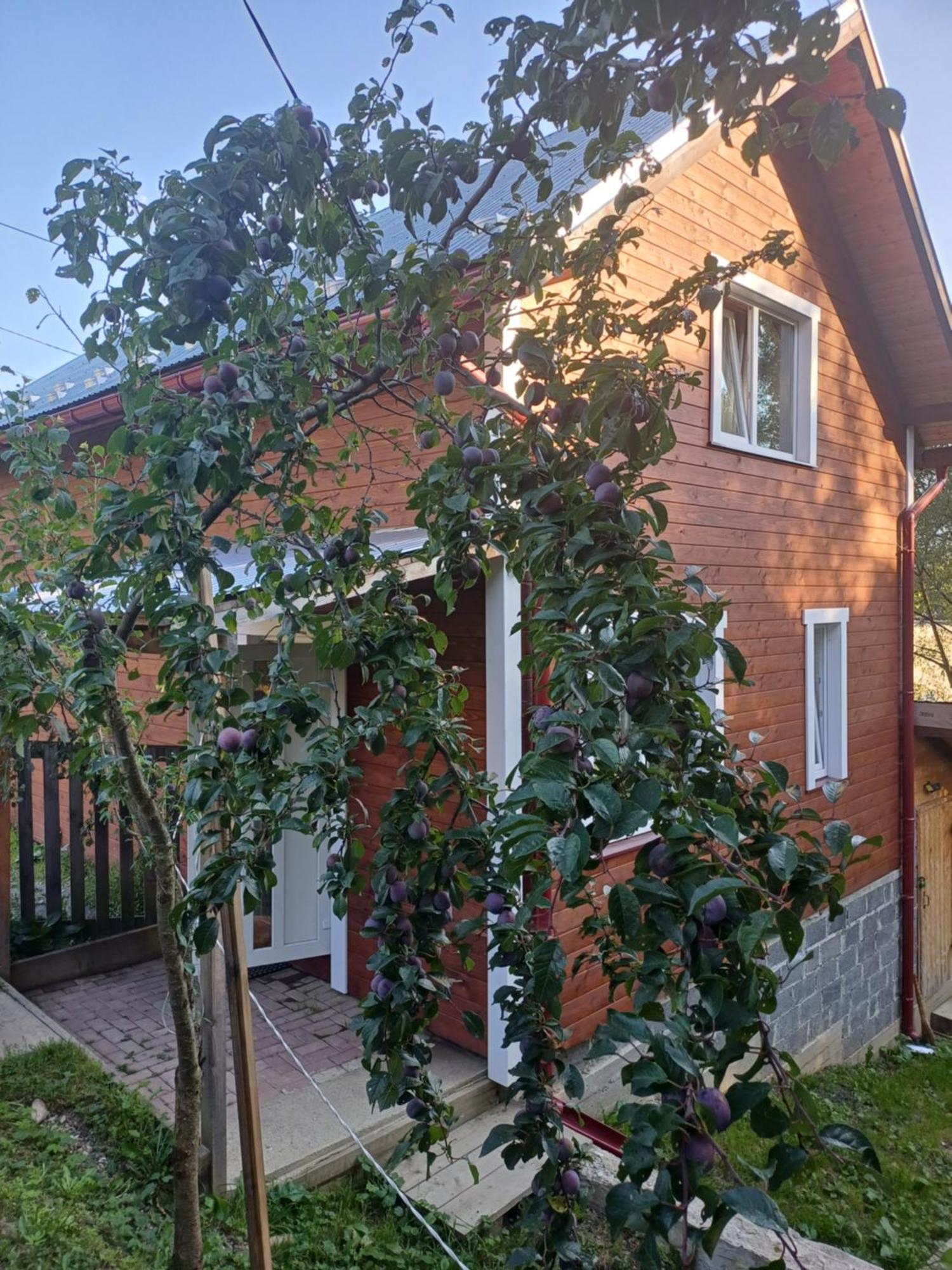 Карпатський Котедж Karpatian Cottage Vorokhta Εξωτερικό φωτογραφία